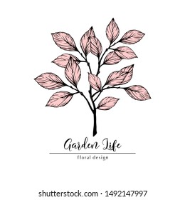 Minimalist Botanical Logo Template With A Hand Drawn Plant Branch; Elegant, Romantic, Stylish; Multi Purpose Identity Or Decorative Element For Beauty Salon, Fashion Boutique, Organic Shop, Vegan Cafe