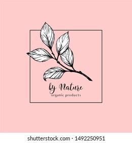 minimalist botanical logo template with a hand drawn plant branch; elegant, romantic, stylish; multi purpose identity or decorative element for beauty salon, fashion boutique, organic shop, vegan cafe