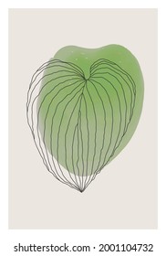 Minimalist botanical monstera leaf line art abstract collage
