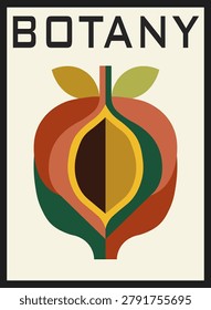Minimalist botanical poster design featuring a stylized cross-section of a fruit in earth tones with the word Botany at the top.