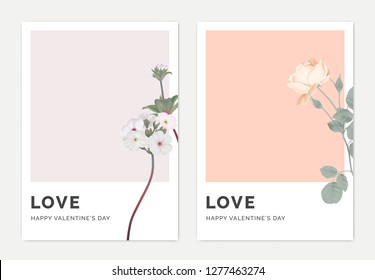 Minimalist botanical valentine greeting card template design, Woolly rock jasmine on light purple and rose on light red