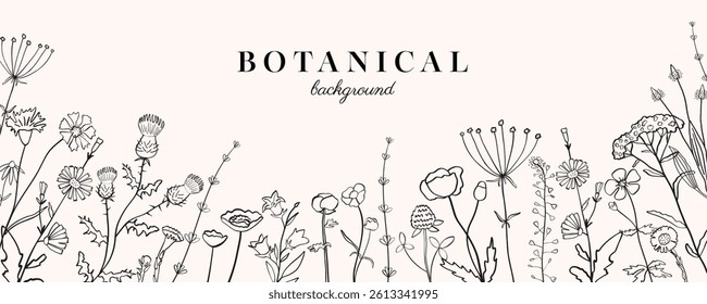 Minimalist botanical vector background. Abstract lines and plant elements. Flower and herb  hand drawn illustration.
