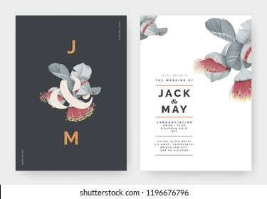 Minimalist botanical wedding invitation card template design, Eucalyptus rhodantha flowers or rose mallee with lettering on dark grey, pastel vintage theme