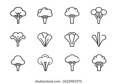Minimalist broccoli vegetable line drawing