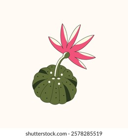 Minimalist Cactus Illustration for design needs, Landing Pages, Animation, Apps, Presentations, Content Creator and other Promotions
