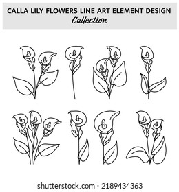 Minimalist Calla Lily Flower Hand Drawn Vector Illustration Set. Flowers Sketch Drawing on White Background.