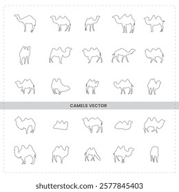 Minimalist camel illustrations, line drawings, simple animal sketches, desert creature outlines, various camel poses, side view and profile camel designs, black and white, clean vector style.