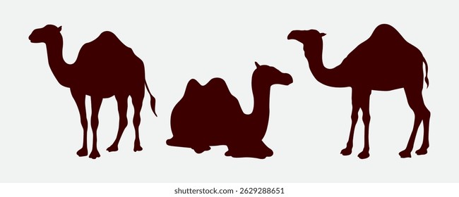 Silhueta de Camelo Minimalista - Vida selvagem do deserto e aventura
