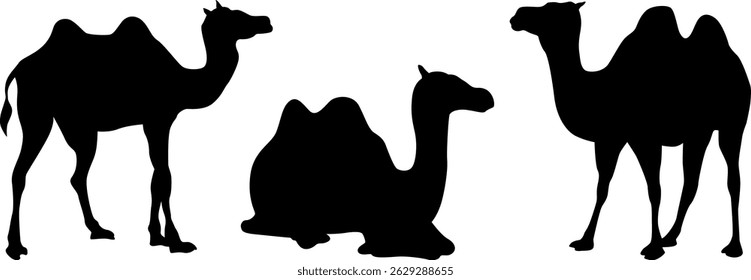 Silhueta de Camelo Minimalista - Vida selvagem do deserto e aventura
