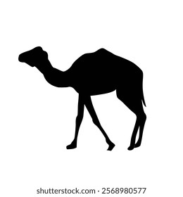 Minimalist camel silhouette, perfect for various design projects. Clean and simple lines make it easy to adapt to different styles.