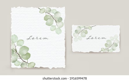 Minimalist cards eucalyptus or silver dollar leaves  soft green on white background vector texture watercolor. Healing Herbs for cards, wedding invitation.