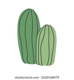 Minimalist cartoon cactus, desert plant illustration