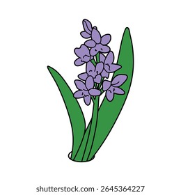 Minimalist cartoon image featuring two vibrant light purple hyacinth flowers. The flowers are accompanied by long, slender green leaves against a clean white backdrop.