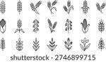 Minimalist Cereal Grains and Crops Line Art Icon Set