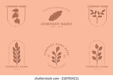 Minimalist Chocolate Leaf Leaves Tropical Logo Collection Style Pink Pastel Background.