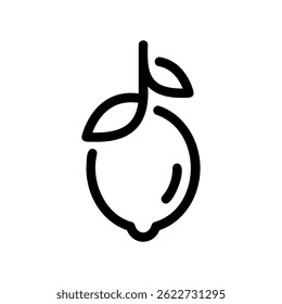 Minimalist Citrus Fruit Graphic Depicting a Lemon or Lime Contour Art