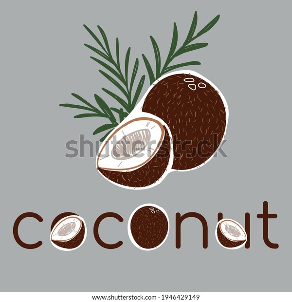 Minimalist Coconut Lettering Coconuts Stock Vector (Royalty Free ...