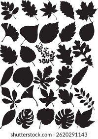 Minimalist collection of leaf silhouette for modern art