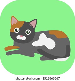 Minimalist colorful cat on a colored background.
Ideal for icons, medals or badges.
