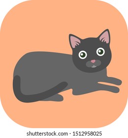 Minimalist colorful cat on a colored background.
Ideal for icons, medals or badges.