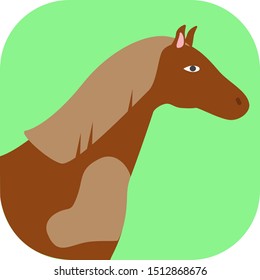 Minimalist colorful horse on a colored background.
Ideal for icons, medals or badges.