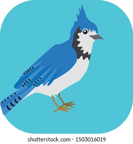 Minimalist colorful jay on a colored background.
Ideal for icons, medals or badges.