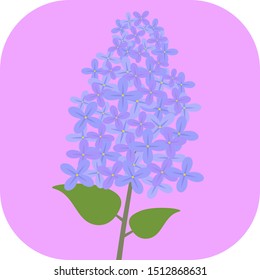 Minimalist colorful lilac on a colored background.
Ideal for icons, medals or badges.