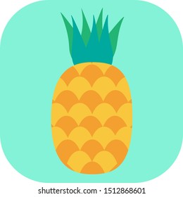 Minimalist colorful pineapple on a colored background.
Ideal for icons, medals or badges.