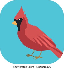 Minimalist colorful red cardinal on a colored background.
Ideal for icons, medals or badges.