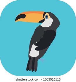 Minimalist colorful toucan on a colored background.
Ideal for icons, medals or badges.