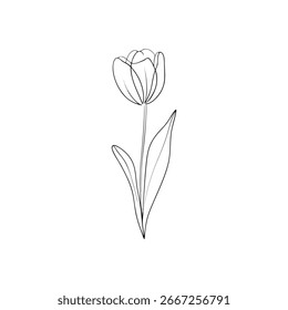 Linha contínua minimalista desenhando uma única flor de tulipa com vetor de folhas