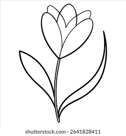 Minimalist continuous line art drawing of a spring crocus flower suitable for elegant floral prints botanical projects natural wall art and decorative graphic illustrations