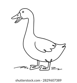 Minimalist continuous line art illustration of a duck in a simple hand drawn doodle style on a plain white background