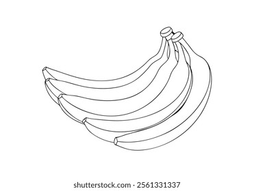 Minimalist Continuous Line Art of Various Bananas Including a Bunch, Single, and Peeled Banana in Organic Style
