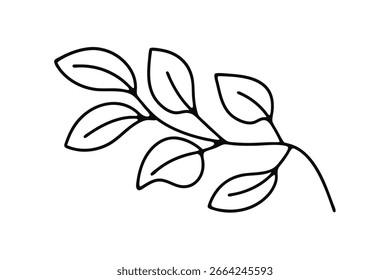 Minimalist continuous line drawing a delicate branch with leaves leaf nature