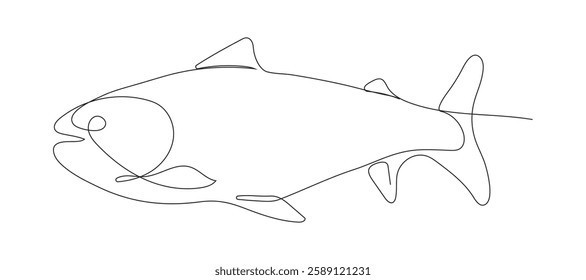 Minimalist continuous line drawing of a fish, including cod, trout, and salmon.ns.