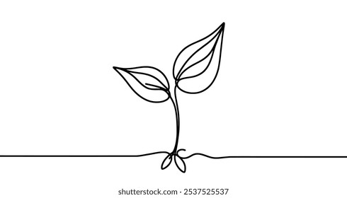 Minimalist continuous line drawing representing a growing plant with leaves. Vector illustration.