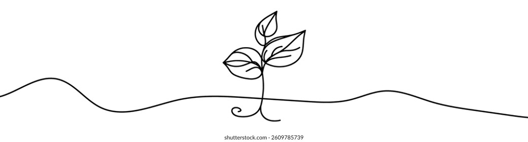 Minimalist continuous line drawing representing a growing plant with leaves. Vector illustration.