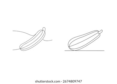 Minimalist continuous line drawing of two zucchini