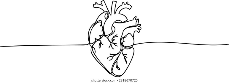 Minimalist continuous line of a human heart with arteries and veins anatomy medical cardiology