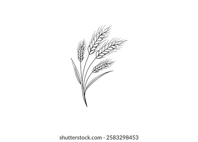Minimalist continuous wheat line art design isolated outline Illustration  modern and clean agricultural artwork vector Art 