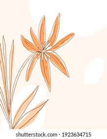  Minimalist contour drawing. Elegant continuous line drawing.  Abstract one line art flower.