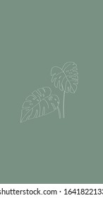 Minimalist contour drawing, two leaf of monstera, thin lines, for poster, picture, background.