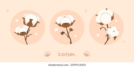 Minimalist Cotton Plant Illustration with Three Elegant Designs on a Soft Beige Background