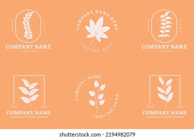 Minimalist Cream Leaf Leaves Nature Logo Collection Style Orange Pastel Background.