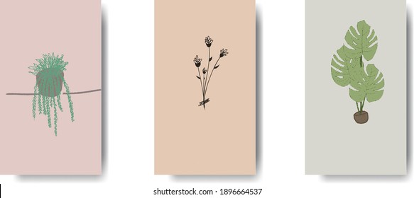 Publicación creativa minimalista del conjunto de vectores de arte mural botánico. Resumen Diseño de arte vegetal para la impresión, cubierta, papel pintado, arte de pared mínimo y natural.