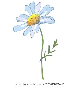 Minimalist Daisy Flower Vector Illustration Isolated on White. Elegant Chamomile Floral Icon for Spring Design, Wedding Invitation, and Botanical Decor