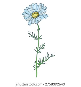 Minimalist Daisy Flower Vector Illustration Isolated on White. Elegant Chamomile Floral Icon for Spring Design, Wedding Invitation, and Botanical Decor