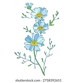 Minimalist Daisy Flower Vector Illustration Isolated on White. Elegant Chamomile Floral Icon for Spring Design, Wedding Invitation, and Botanical Decor