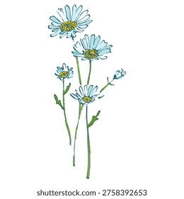 Minimalist Daisy Flower Vector Illustration Isolated on White. Elegant Chamomile Floral Icon for Spring Design, Wedding Invitation, and Botanical Decor
